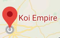 Screen Shot 2020-03-09 at 22.33.13